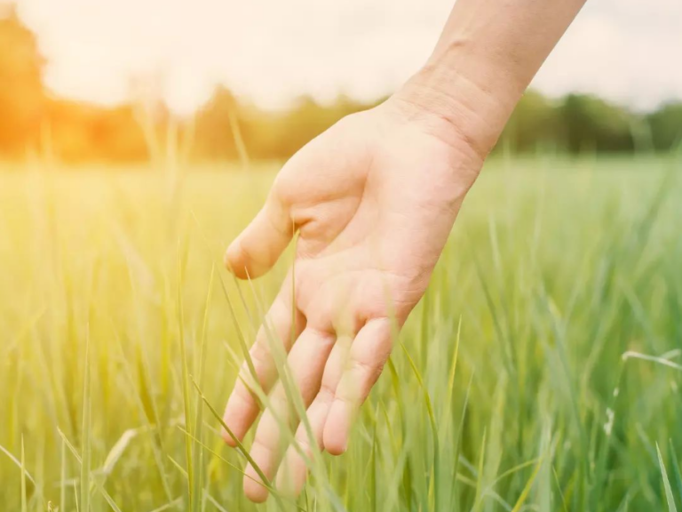 Rzeczy, Których Lepiej Unikać Podczas Miesiączki – Poradnik Dla Świadomych Kobiet